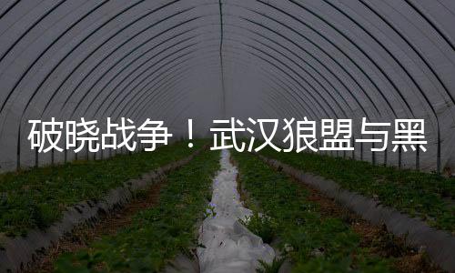 武汉桑拿论坛推荐全天然养生产品，迎接健康人生